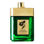 Passion de L'Amour Nouvelle Liaison